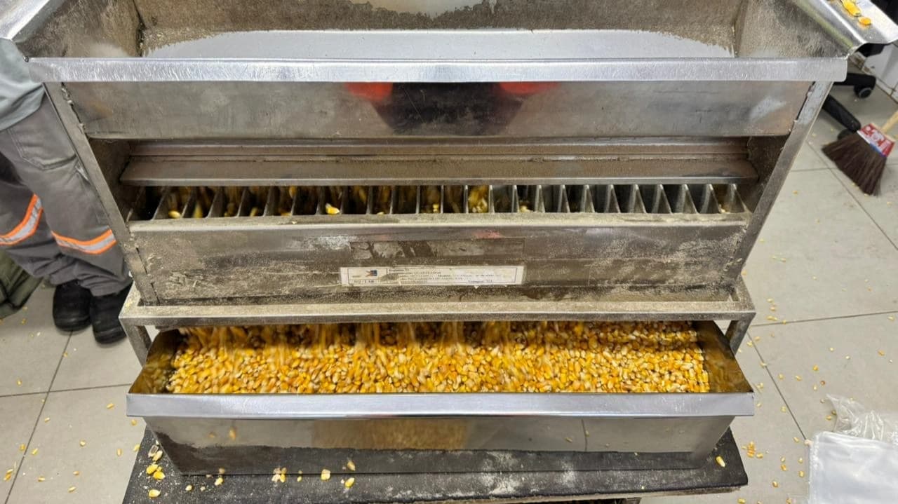 Loading Supervision of Grains